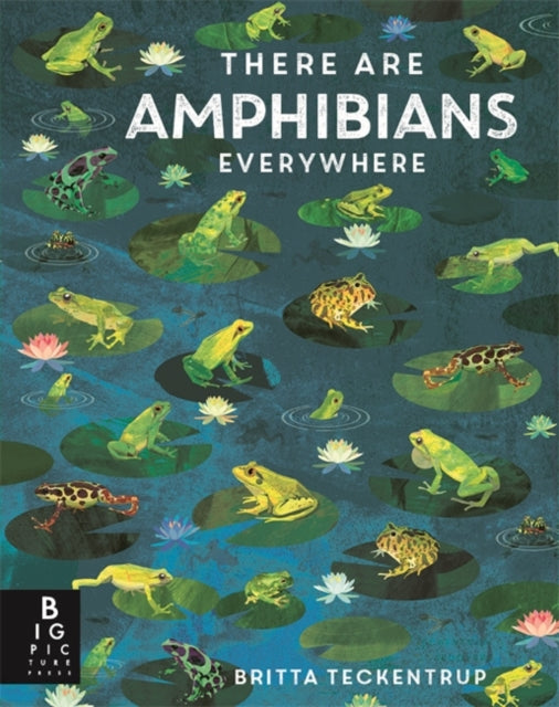 Book cover of: There Are Amphibians Everywhere