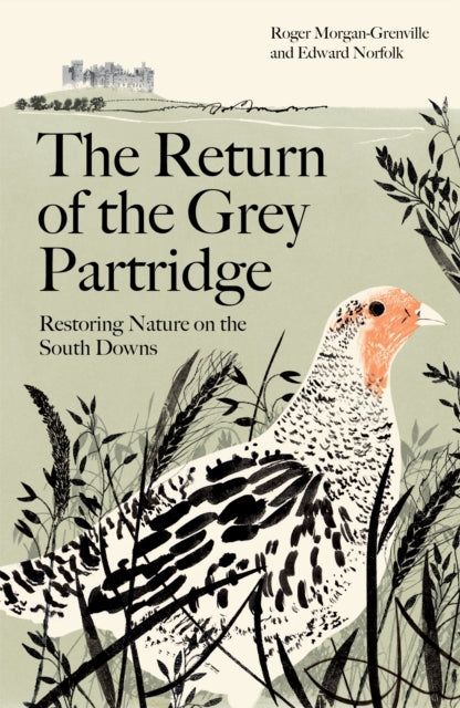 Return of the Grey Partridge, Restoring Nature on the South Downs 9781800819061 Roger Morgan-Grenville