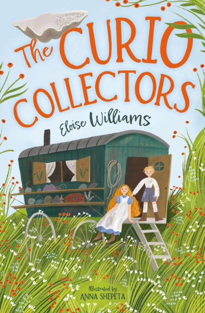 Curio Collectors 9781800902008 Eloise Williams