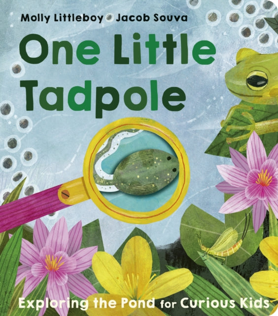 Book cover of: One Little Tadpole. By: Molly Littleboy