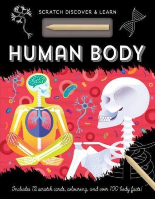 Book cover of: Human Body. By: That, Imagine, Mayes, Susan