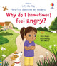 Very First Questions and Answers: Why do I (sometimes) feel angry? 9781801313155 Katie Daynes