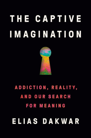 Captive Imagination, Addiction, Reality and our Search for Meaning