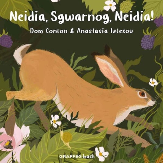 Book cover of: Neidia, Sgwarnog, Neidia!. By: Dom Conlon