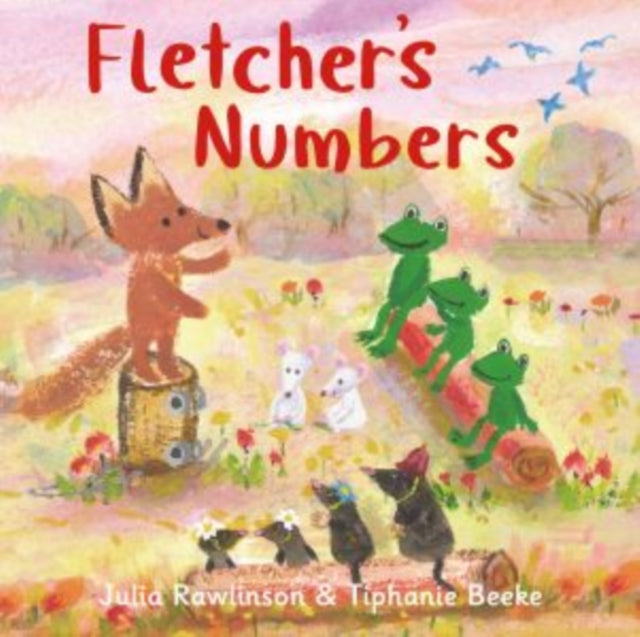 Book cover of: Fletcher's Numbers