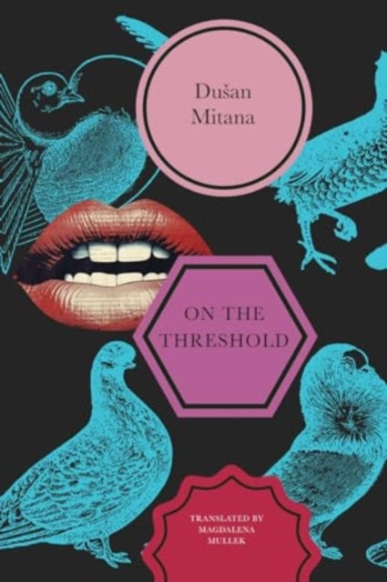 Book cover of: On the Threshold. By: Dusan Mitana