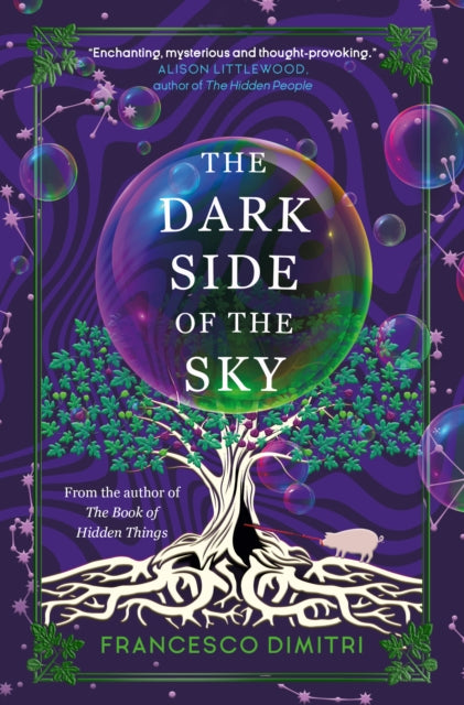 Book cover of: Dark Side of the Sky. By: Francesco Dimitri