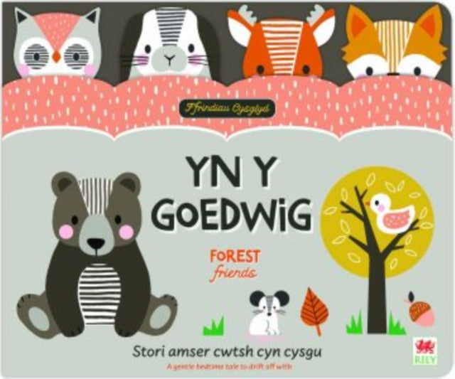 Book cover of: Ffrindiau Cysglyd: yn y Goedwig / Sleepyheads: Forest Friends