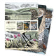 Angela Harding: Wildlife Set of 3 Standard Notebooks 9781804178379 Flame Tree Studio
