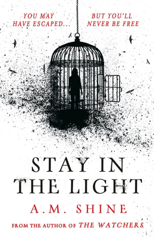 Stay in the Light, the chilling sequel to hit horror novel THE WATCHERS