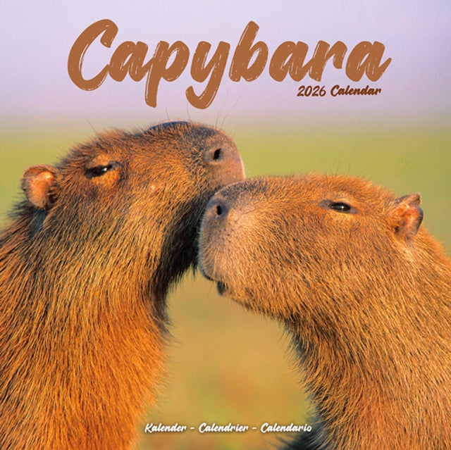 Book cover of: Capybara Calendar 2026  Square Animal Wall Calendar - 16 Month