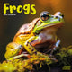 Book cover of: Frogs Calendar 2026  Square Animal Wall Calendar - 16 Month