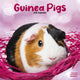 Book cover of: Guinea Pigs Calendar 2026  Square Animal Wall Calendar - 16 Month