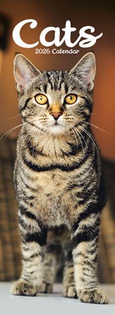 Book cover of: Cats Slim Calendar 2026  Cute Slimline Calendar - 12 Month