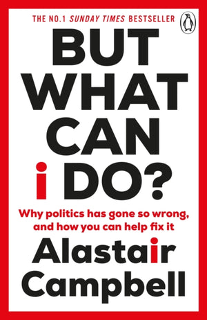 But What Can I Do?, Why Politics Has Gone So Wrong, and How You Can Help Fix It
