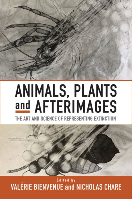 Book cover of: Animals, Plants and Afterimages