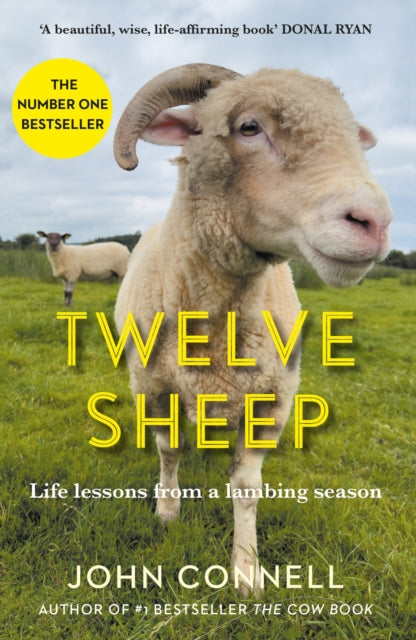 Book cover of: Twelve Sheep