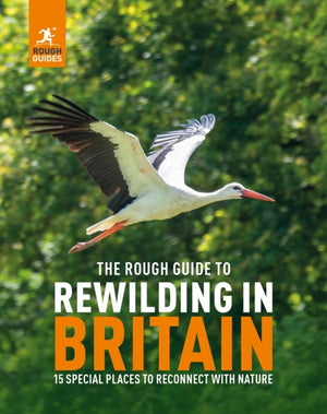 Rough Guide to Rewilding in Britain, 15 Special Places to Reconnect with Nature