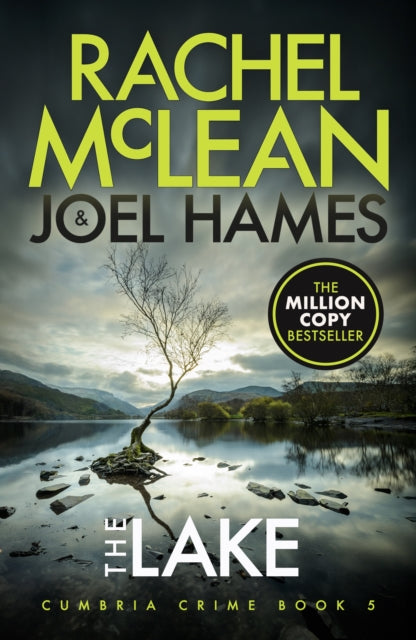 Book cover of: Lake