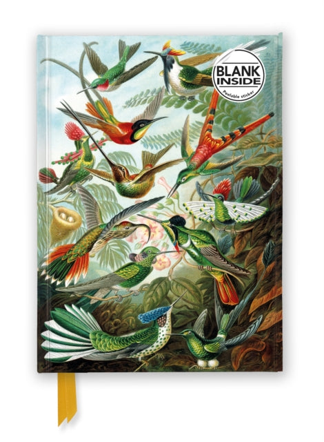 Book cover of: Ernst Haeckel: Hummingbirds (Foiled Blank Journal)