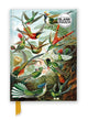 Book cover of: Ernst Haeckel: Hummingbirds (Foiled Blank Journal)