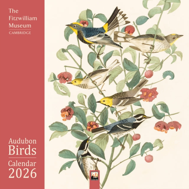 Book cover of: Fitzwilliam Museum: Audubon Birds Wall Calendar 2026 (Art Calendar)
