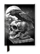 Alchemy: Poe’s Raven (Foiled Journal) 9781835625422 Flame Tree Studio