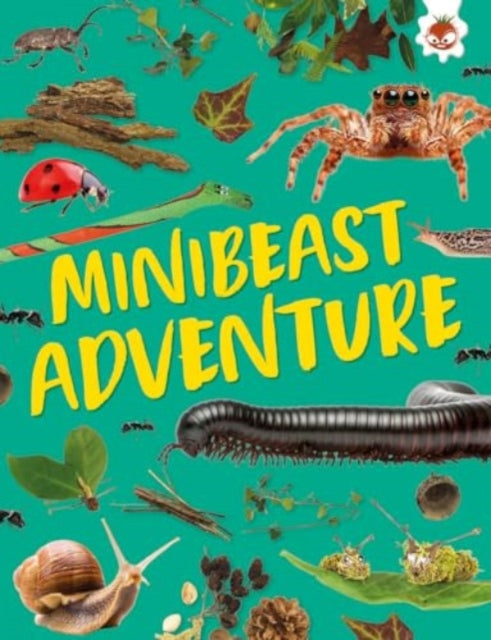 Book cover of: Minibeast Adventure. By: Emily Kington