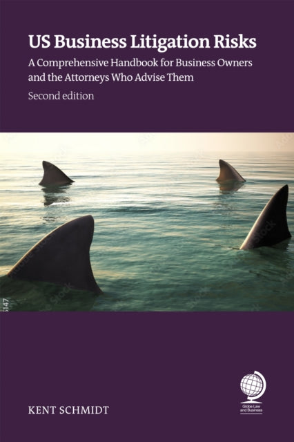 Book cover of: US Business Litigation Risks. By: Kent Schmidt