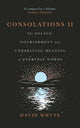 Book cover of: Consolations II