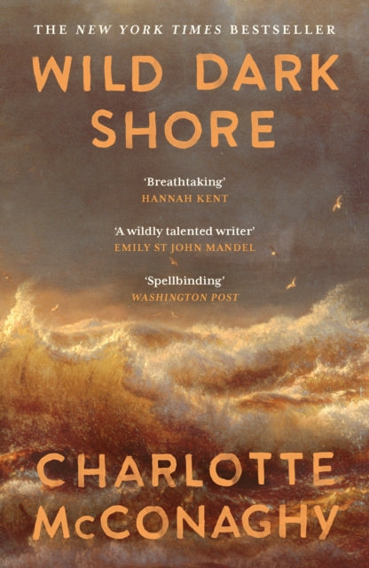 Book cover of: Wild Dark Shore