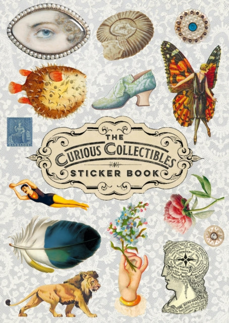 Curious Collections Sticker Book
