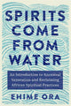 Book cover of: Spirits Come from Water. By: Ehime Ora