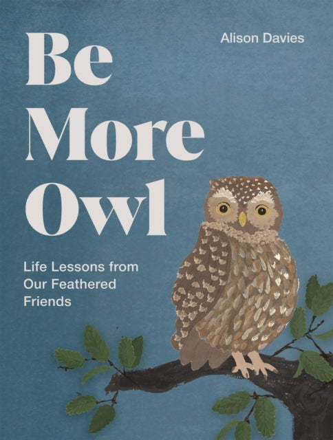 Book cover of: Be More Owl