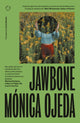 Book cover of: Jawbone. By: Mónica Ojeda