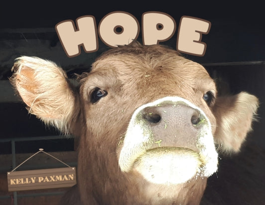 Book cover of: Hope. By: Kelly Paxman
