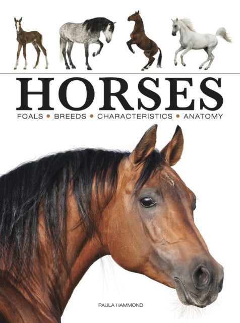 Book cover of: Horses. By: Paula Hammond