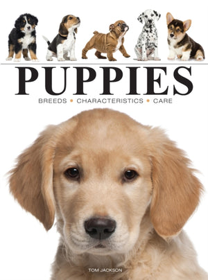 Puppies