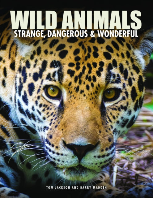 Wild Animals 9781838865313 Tom Jackson