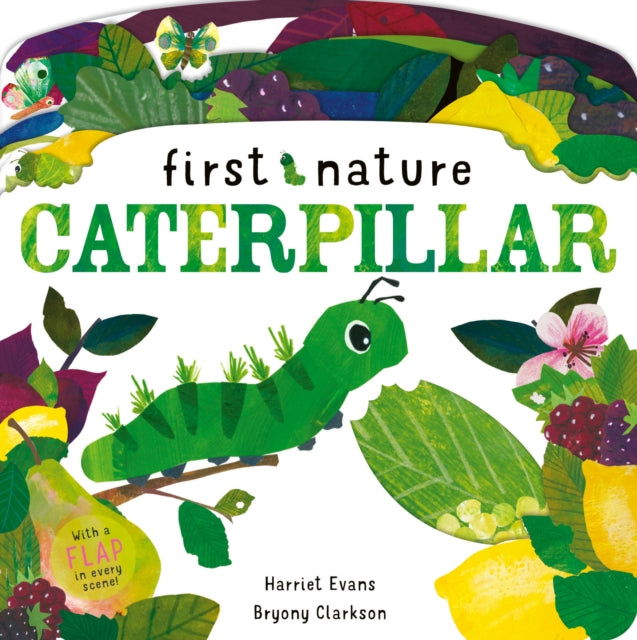 Book cover of: Caterpillar. By: Bryony Clarkson