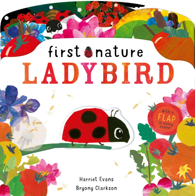 Book cover of: Ladybird. By: Bryony Clarkson