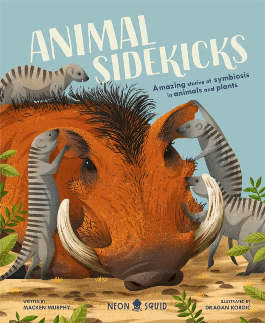 Animal Sidekicks, Amazing Stories of Symbiosis in Animals and Plants 9781838991531 Macken Murphy