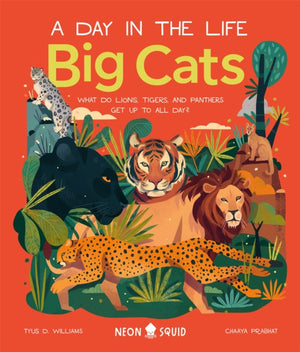 Big Cats (A Day in the Life), What Do Lions, Tigers and Panthers Get up to All Day?