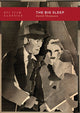 Book cover of: Big Sleep. By: Thomson, David