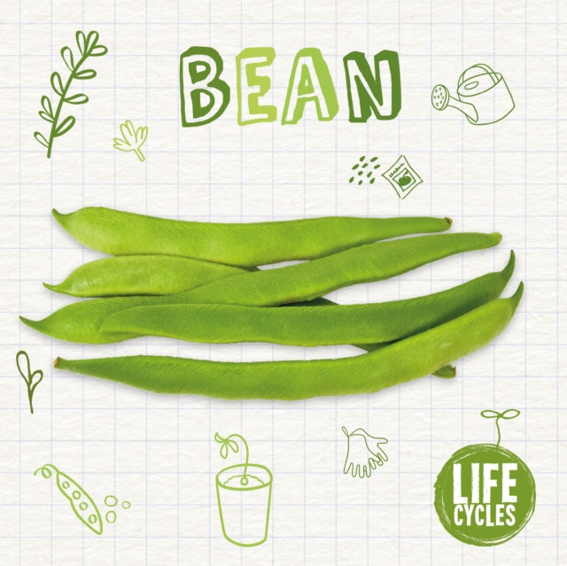 Book cover of: Bean. By: Brenda McHale