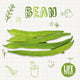 Book cover of: Bean. By: Brenda McHale