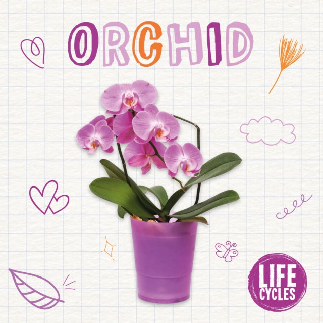 Book cover of: Orchid. By: Brenda McHale