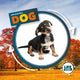 Life Cycle of a Dog 9781839274749 Kirsty Holmes