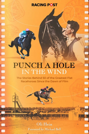 Punch a Hole