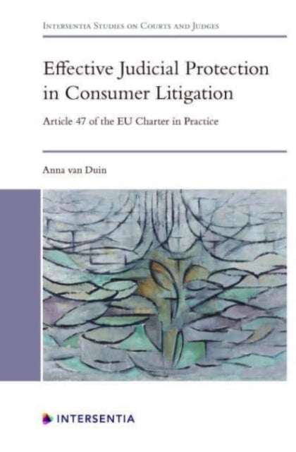 Book cover of: Effective Judicial Protection in Consumer Litigation. By: VAN DUIN